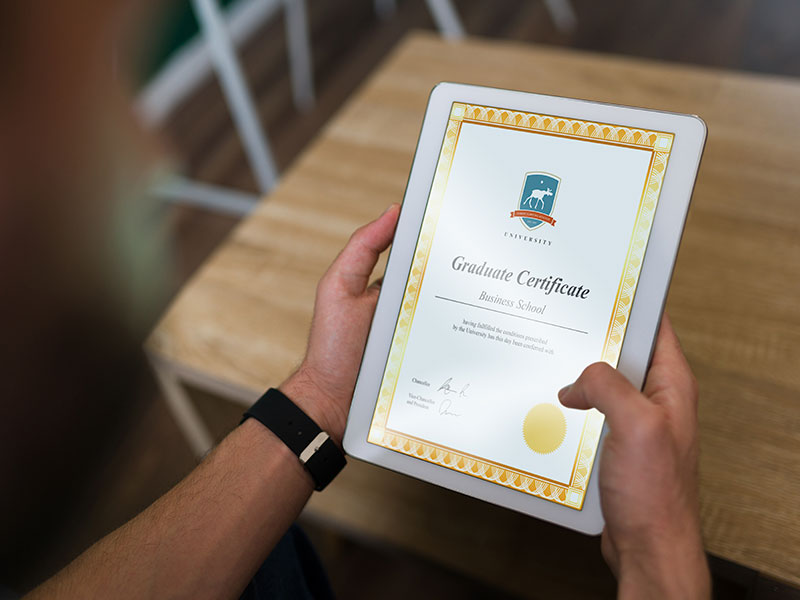 檢驗(yàn)報告等報告證書